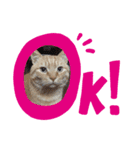猫と赤ちゃんの使える日常会話（個別スタンプ：2）