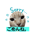 猫と赤ちゃんの使える日常会話（個別スタンプ：7）