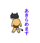 らくだネコ！ノラさん！！（個別スタンプ：5）
