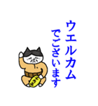 らくだネコ！ノラさん！！（個別スタンプ：10）