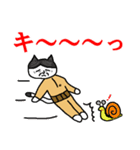 らくだネコ！ノラさん！！（個別スタンプ：16）
