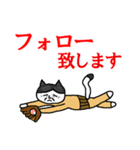 らくだネコ！ノラさん！！（個別スタンプ：26）