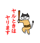 らくだネコ！ノラさん！！（個別スタンプ：29）