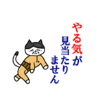 らくだネコ！ノラさん！！（個別スタンプ：30）