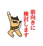 らくだネコ！ノラさん！！（個別スタンプ：38）