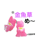 花言葉を送ろう！［イラスト］（個別スタンプ：2）