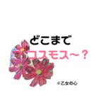 花言葉を送ろう！［イラスト］（個別スタンプ：6）