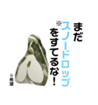 花言葉を送ろう！［イラスト］（個別スタンプ：7）