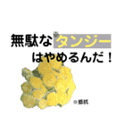 花言葉を送ろう！［イラスト］（個別スタンプ：8）