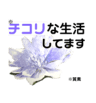 花言葉を送ろう！［イラスト］（個別スタンプ：9）