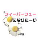 花言葉を送ろう！［イラスト］（個別スタンプ：10）