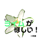 花言葉を送ろう！［イラスト］（個別スタンプ：12）