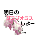 花言葉を送ろう！［イラスト］（個別スタンプ：13）