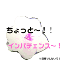 花言葉を送ろう！［イラスト］（個別スタンプ：14）