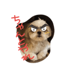 シーズーの道草4（個別スタンプ：4）