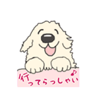 ごーるでんわんこ2 ゴールデンレトリバー2（個別スタンプ：1）