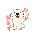 ごーるでんわんこ2 ゴールデンレトリバー2（個別スタンプ：2）