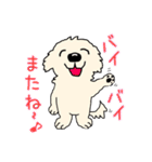 ごーるでんわんこ2 ゴールデンレトリバー2（個別スタンプ：12）