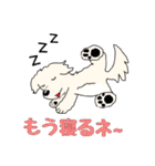 ごーるでんわんこ2 ゴールデンレトリバー2（個別スタンプ：13）