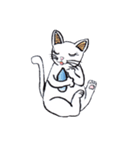 おすましネコ（個別スタンプ：1）