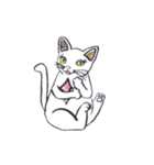おすましネコ（個別スタンプ：4）