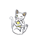 おすましネコ（個別スタンプ：8）