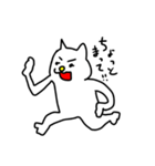横にいる白猫さん（個別スタンプ：29）