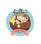 チャコビィ（個別スタンプ：7）