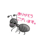 話す動物（個別スタンプ：13）