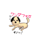 話す動物（個別スタンプ：22）