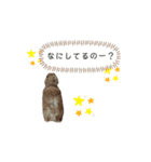 うさぎのふわだよっ（個別スタンプ：2）
