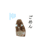 うさぎのふわだよっ（個別スタンプ：6）