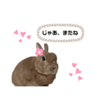 うさぎのふわだよっ（個別スタンプ：7）