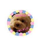 さちこ応援します（個別スタンプ：1）