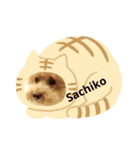 さちこ応援します（個別スタンプ：3）