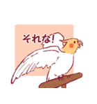 オカメインコづくし（個別スタンプ：33）