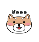 表情豊かな柴犬顔スタンプ（個別スタンプ：2）
