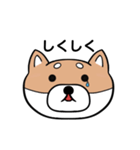 表情豊かな柴犬顔スタンプ（個別スタンプ：3）