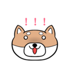 表情豊かな柴犬顔スタンプ（個別スタンプ：4）