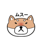 表情豊かな柴犬顔スタンプ（個別スタンプ：7）
