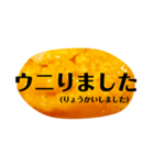 ウニと生きる毎日。ウニで一言。（個別スタンプ：3）