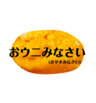 ウニと生きる毎日。ウニで一言。（個別スタンプ：9）