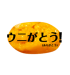 ウニと生きる毎日。ウニで一言。（個別スタンプ：19）