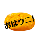 ウニと生きる毎日。ウニで一言。（個別スタンプ：25）