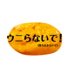 ウニと生きる毎日。ウニで一言。（個別スタンプ：31）