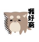 猫と柴 1 - 即即歪歪（個別スタンプ：19）