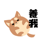 猫と柴 1 - 即即歪歪（個別スタンプ：33）