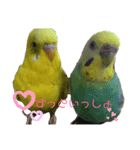 いんこちゃんず（個別スタンプ：6）