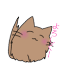 イヌみたいなネコモフ（個別スタンプ：17）