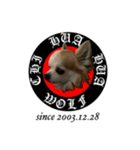 CHI HUA HUA   WOLF（個別スタンプ：1）